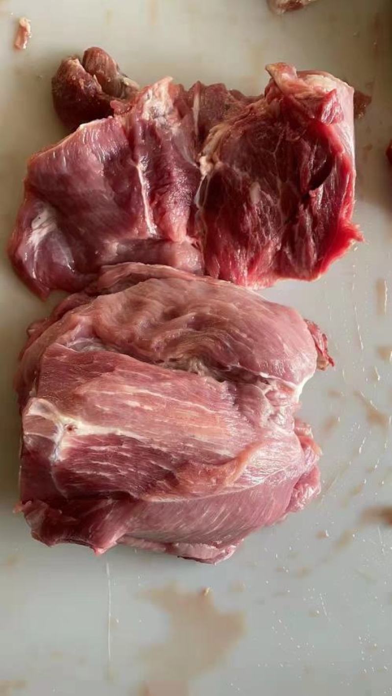 鲜肉批发指南 五花与里脊的选购与经营之道
